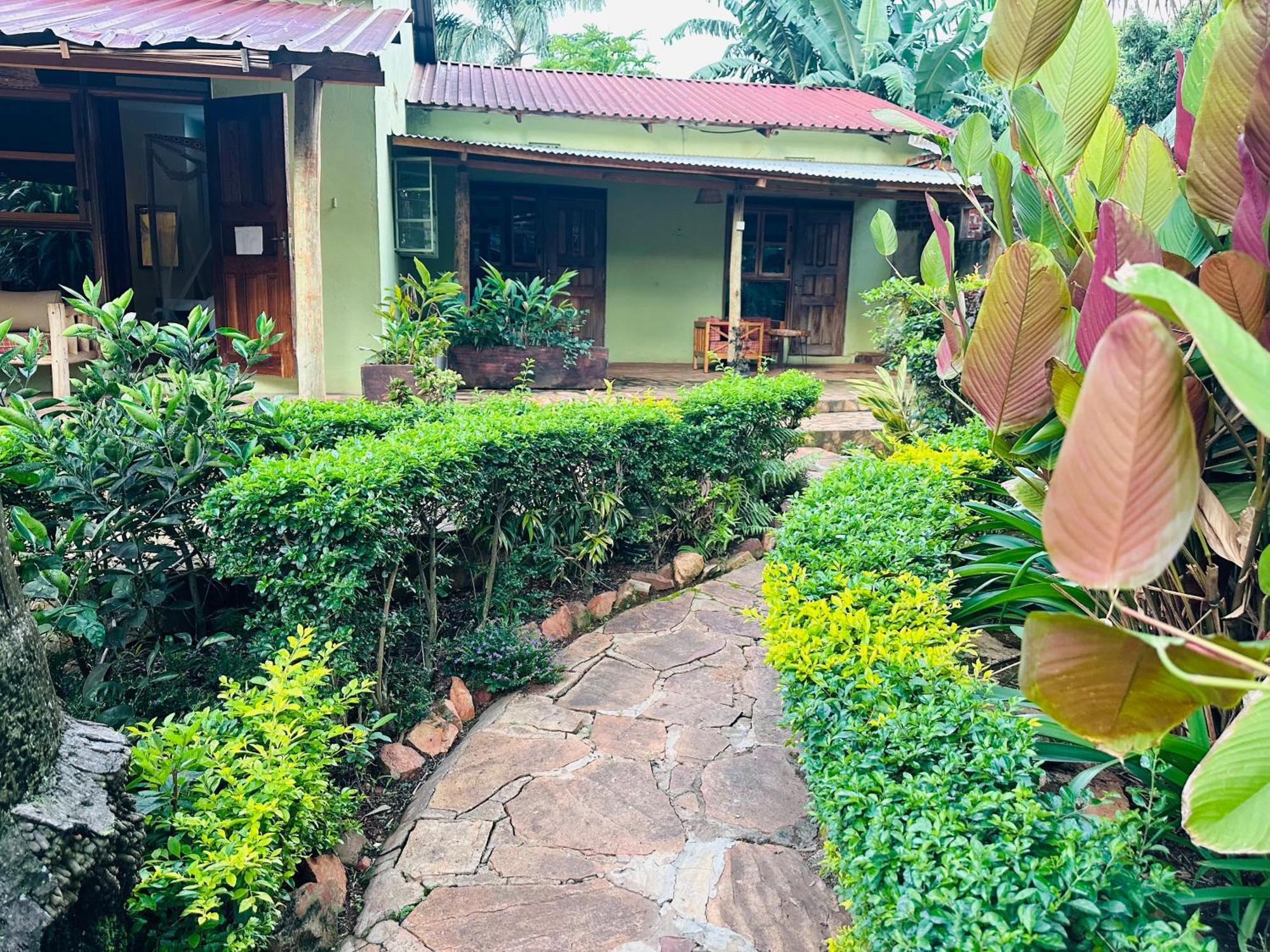 Afro Smile Hotel & Guest House Jinja Exteriör bild