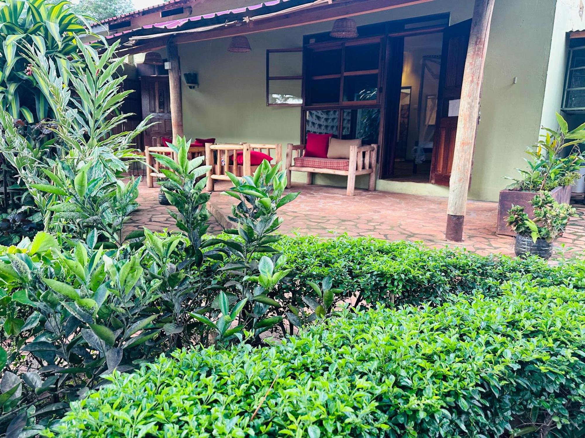 Afro Smile Hotel & Guest House Jinja Exteriör bild